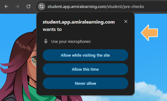 Amira Student Experience